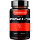Estratto di radice di Ashwagandha organico di PhiNaturals in capsule vegane Uguale a 6000 Mg Root - Supplemento di Ashwaganda per gli uomini e le donne con 1500 Mg Per Serving 30 - 500mg Per Vegan Capsule 90 Count