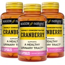 MASON Mirtillo NATURAL Altamente Concentrato 900 mg, Alimentazione 3 mesi, Salute Antiossidante & Immune, Supporta Tratto urinario sano, 3 confezione