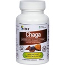 Estratto di funghi di Sayan Chaga siberiano – 90 capsule/420mg ea – Integratore antiossidante naturale & Wild-Harvest – Supporto di sistema immunitario & Regolazione Funzioni del corpo – Vegan, Non OGM, Nessun filler o Additivi