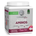 Aminoacidi solari Aminoacidi Amino Energy Powder Aminoacidi essenziali EAA | Riparazione del muscolo Idratazione & Recupero | Promuovere la resistenza al benessere & Endurance | Dragon Fruit Flavor | 30 Serve | Aminoacidi attivi