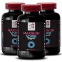 Bright perspective - EYE VISION SUPPLEMENT - Better sight, Vision enhancer, Clearer details, Visual aid, Focus clear, Vision power, Precision focus, Image clarity, Crisp vision 3 Bottle 180 Capsules