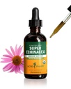 Gocce di estratto liquido di Echinacea Super Echinacea certificate di Herb Pharm per il supporto attivo del sistema immunitario, 2 Oz