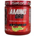 iSatori Amino-GRO BCAA Polvere, Aminoacidi a catena ramificata con Glutamina, Polvere elettrolitica & Bio-GRO Bio-Active Peptidi per la crescita muscolare & post Workout Recovery, Limonata smerigliata (30 Serve)