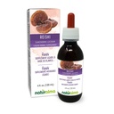 Naturalma Reishi (Ganoderma lucidum) Fungo o alcool senza funghi Tintura - 4 fl oz Estratto liquido in gocce - Supplemento erbe - Vegan