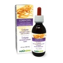 Naturalma Cordyceps (Cordyceps sinensis) Fungus o alcool senza funghi Tintura - 4 fl oz estratto liquido in gocce - Integratore di erbe - Vegan