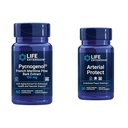Prolungamento della vita Pycnogenol French Maritime Pine Bark & Gotu Kola Integratori di salute arteriosa - 60 & 30 capsule vegetariane
