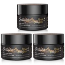 Shilajit Purest Himalayan Organic Shilajit Resina - Gold Grade 100% Purezza Shilajit con acido Fulvic & 85+ Trace Minerals Complex per l'energia e il supporto immunitario, Confezione da 3 (6 mesi di fornitura)