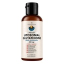 AMANDEAN Liposomal Glutathione Supplemento. Liquido Ridotto Setria 500mg. Supporto immunitario, Salute del cervello, Detox del fegato, Salute della pelle. Fosfatidilcolina dalla Lecitina di girasole non OGM. Soy-Free & Vegan.