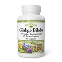 HerbalFactors di Fattori Naturali, Ginkgo Biloba, Supporta Memoria, Prestazioni Mentali e Funzione Brain sana, 60 capsule (60 porzioni)