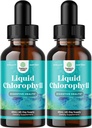 Gocce liquide di clorofilla aromatizzate alla menta - Gocce di clorofilla liquida vegana per il supporto immunitario Gut Health Care Detox supporto al fegato Energia e respiro cattivo - Deodorizzatore interno ad alta potenza - 2 Pack