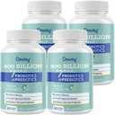 Probiotici per le donne e gli uomini, 300 miliardi di CFU 24 Strains Probiotici + 15 erbe biologiche Prebiotics Blend, Shelf Stable Gut Health Supplement per Digestive Immune & Whole-Body Health, 8 mesi di fornitura