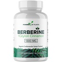 Pure Berberine Supplement - 1300mg Berberina con Ceylon Cinnamon per il Metabolismo & Immune System Support - 60 Serve