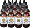 Estratto di liquido di pino bianco, Pino bianco (Pinus Strobus) Bark Powder Tincture, Supplemento di erbe, Hawaii Pharm, Made in USA, 15x4 fl.oz