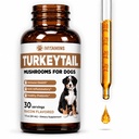 Turchia Tail Mushroom per i cani | Aiuta a migliorare il sistema immunitario, è un prebiotico sano, e molto altro ancora | Tail tacchino per i cani | Funghi per cani | Dog Mushroom Supplements | 1 fl oz