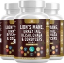 Fungo Supplemento con Lion's Mane Turchia Tail Reishi Cordyceps Chaga Marshmallow Root - 180 Conte