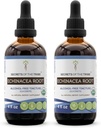 Echinacea Root USDA Organic Tincture | Alcohol-Free Extract, High-Potency Herbal Drops, Immune System Health | Realizzato in 100% certificata Organic Echinacea Root (Echinacea Purpurea) 2x4 oz