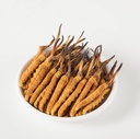 Cordyceps selvatici, Whole Himalyan Cordyceps Sinensis Mushroom, Genuine and Very Rare, High Grade, Boost Energy, Ridurre lo stress per gli uomini e le donne, 5 Grammi (13+17pic) da Lamjung Nepal Keeda Zadi