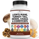 Leoni Mane Mushroom Supplemento con Turchia Tail Reishi Cordyceps Chaga con Marshmallow Root - 1-Pack