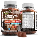 15in1 Mushroom Gummies con Lion's Mane Turkey Tail Cordyceps Reishi Chaga Sweet Toot Maitake Meshima Poria Cocos Shiitake Tremella, Oyster Agaricus Mushrooms for Men and Women