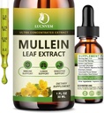 (2 Pack) 98% assorbente Mullein gocce per polmoni, Potente 5 in 1 Mullein Leaf Estratto di miscela di erbe, polmoni naturali supplemento di supporto per polmoni Cleanse & Detox e Respiratory Lung Health