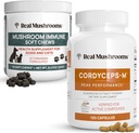 Real Mushrooms Cordyceps for Humans (120ct) & Mushroom Immune Pet Chews (60ct) - Bundle for Energy, Vitality & Immunity - Ashwagandha, Astragalus & More - Vegan, Non OGM, Gluten-Free, Grain-Free