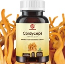 Capsule Cordyceps, Polvere di supplemento di Estratto di funghi con 31% Beta Glucan per prestazioni, energia e supporto del sistema immunitario, 700mg, 60 Count, Organic e Vegan