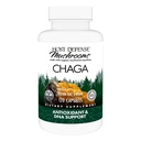 Host Defense Chaga Capsules - Integratore di Supporto Sistema Immune - Chaga Mushroom Capsules per Supporto Attività Antiossidante - Integratore Dietetico Funghi - 120 Capsule (60 Serve)*
