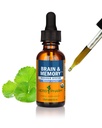 Herb Pharm Organic Nootropic Brain & Memory Supplement con Ginkgo Biloba Liquid Extract: Fast Absorption for Mental Focus Support, Ginkgo Supplement, Vegan, Gluten-Free, Non-GMO, 1 Oz