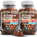 15in1 Mushroom Gummies con Lion's Mane Turchia Tail Cordyceps Reishi Chaga Sweet Toot Maitake Meshima Poria Cocos Shiitake Tremella, Oyster Agaricus Mushrooms for Men and Women Supplement - 2Pack