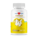 Stesso per cani - 120 Chewable Tablets - S-Adenosyl-L-Methionine, Integratore del fegato - Salute del cervello, promuove il supporto cognitivo, supporto del fegato (stesso Tablet)