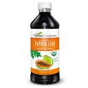 Sostegno del piatto dell'estratto della foglia di Papaya - Boost del piatto del sangue 15X, supporto del bruciore di Bone & Spleen, salute dell'immune & Gut, enzima digestivo - estratto liquido di Kosher 16 oz organico