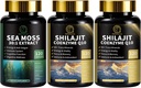 Sea Moss e Shilajit Capsule per Uomo e Donne, Tutti in 1 Integratori con Shilajit, Sea Moss, Coenzyme Q10, Black Seed, Ashwagandha, Burdock per l'Energia, Antiossidante & Supporto immunitario