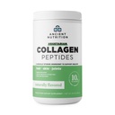 Peptidi di collagene vegetariani, polvere di peptidi di collagene, polvere di collagene con aroma naturale, prebiotici e probiotici, supporta la pelle sana, capelli, articolazioni, digestione, 28 Serve