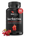 Berberina Advanced Plus con 1200mg Berberina - 100mg Ceylon Cinnamon e 100mg Estratto di tè verde - 1400mg Per Dose -120 capsule - 60 giorni di alimentazione - Supporti Immune e cardiovascolare