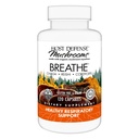 Integratore di funghi - Integratore di funghi polmonare con Chaga, Reishi & Cordyceps - 120 capsule (60 porzioni)*