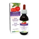 Naturalma Acerola (Malpighia glabra) Tintura senza alcool di frutta - Ricco in vitamina C - 4 fl oz Estratto liquido in gocce - Supplemento di erbe - Vegan