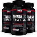 FORCE FACTOR Tribulus Terrestris per gli uomini, 3-Pack, Tribulus Testosterone Booster per gli uomini, Male Vitality Supplement, Tribulus Extract & ingredienti naturali per l'assorbimento superiore, 1000mg, 180 Capsule