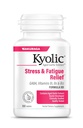 Kyolic Aged Garlic Extract Formula 101, Stress e Fatigue Relief, 100 compresse.