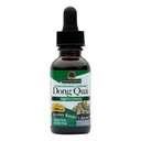 risposta della natura Dong Quai Womens supplemento di sostegno - supporto ormonale femminile, supplemento di benessere femminile, estratto liquido, senza alcool, senza glutine, Kosher - 1 oz