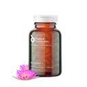 Integratore di miscela Proteolytic Enzyme & Spore Probiotic - 60 capsule - Advanced Biofilm Disruption Aid - Support GI Health, Fibromyalgia, Gut Flora, Muscolo