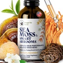 HAPPY FOX Irish Sea Moss Liquid Drops & Mushroom Tincture - Seamoss con 7 adaptogenic Mushroom Extracts for Cognitive Support & Gut Health, Mushroom Coffee Elixir, Pure Vanilla Flavor