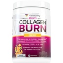Multi Collagen Burn: Peptidi di proteine idrolizzati MultiType con acido ialuronico, vitamina C, SOD B Dimpless, tipi I, II, III, V e X, con caffeina 30 Serve Punch tropicale aromatizzato