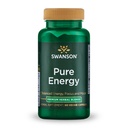 Swanson Pure Energy Metabolism Concentration Focus Support Stress Management Erbe adaptogene Integratore di erbe 60 capsule vegetali (Veg Caps) Vegan