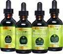 Go Nutrienti Cold & Immune Bundle - Selenio, Vitamina D3/K2, Booster immunitario, Clorofilla liquida – Supporto potente per il sistema immunitario, rafforza la difesa del corpo, nucleo e vitalità, Reinforce Respiratory