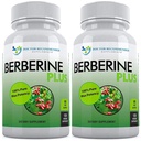 DOCTOR RECOMANDED SUPPLEMENTARI Berberina Plus 1200mg Per Serving - 120 capsule veggie Royal Jelly (120 conteggio (pacchetto di 2))