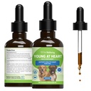 Benessere animale giovane a cuore per cani - salute del cuore, sistema circolatorio e cardiovascolare, biancospino, madrewort, Schisandra - Veterrinario-Formulato Supplemento di erbe 2 fl oz (59 ml)