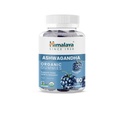 Himalaya Ashwagandha Organic Gummies, KSM-66 Organic Ashwagandha per aiutare con stress sollievo, energia e relax, 60 Gummies con delizioso BlackBerry Flavor
