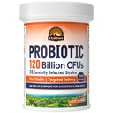 Vitalitown Probiotici 120 miliardi di CFU, 36 Strains, Prebiotici, Enzimi Digestivi per Donne Uomini, Rilascia ritardato, Scaffale stabile, Sul Go Digestive Support, 30 Caps Veg