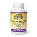 Fattori naturali Coenzyme Q10 - Integratore di supporto antiossidante Supporta la produzione di energia cellulare - Migliore assorbimento Aids Funzione cardiaca sana - 100 mg, 60 Softgels (60 Serve)