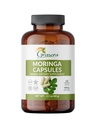 Estratto di chicco di caffè verde – 120 conte | Pure Moringa Oleifera Foglia Pillole di polvere | Natural Superfood Supplemento | Herbal Energy & Antioxidant Support | Vegan, Non-GMO, Singolo Origine Malunggay